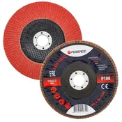 FORSAGE Brusni disk za brušenje lamel 150x22,2 P100