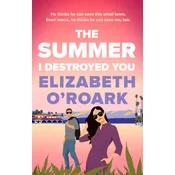 Summer I Destroyed You