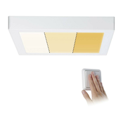 Paulmann 79801 - LED/13W Stropna svetilka CARPO 230V 2300/2500/3000K
