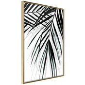 Poster - Leaf and Its Shadow 40x60
