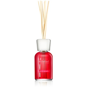 Millefiori Natural Mela & Cannella aroma difuzor s polnilom 250 ml