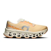 On Cloudmonster 3