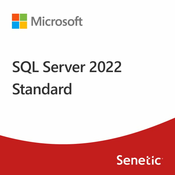 SQL Server 2022 Standard Edition Perpetual
