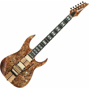 Elektricna gitara Ibanez - RGT1220PB, w/Bag, Antique Brown Stained