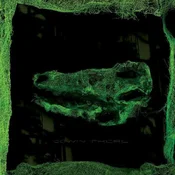 Avey Tare - Down There (Reissue) (LP)