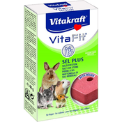VITAKRAFT KAMEN SEL-PLUS MINERAL SOL Z DRŽALOM 40 G / 1 KOM
