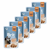 Vrečka BRIT Premium Cat Delicate Fillets in Gravy with Turkey 6x85 g