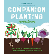 Companion Planting for Beginners: Pair Your Plants for a Bountiful, Chemical-Free Vegetable Garden