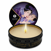 Shunga – Masažna sveča eksotično sadje , 30 ml