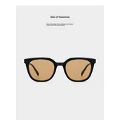 Caponi Unisex naocare za sunce, Crne