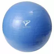 Rucanor Gym Ball 55 26985-01