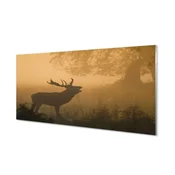 tulup.si Stenska plošča za kuhinjo Deer sunrise 140x70 cm