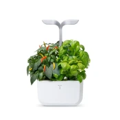 Exky® SMART Arctic White Kućni Vrt