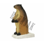 SRT Target 3D Marmot