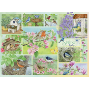 Cobble Hill - Puzzle Vrtne ptice spomladi - 500 kosov