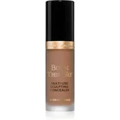 Too Faced Born This Way Super Coverage Multi-Use Concealer dolgoobstojni korektor za polno prekrivanje odtenek Chestnut 13,5 ml