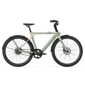 TENWAYS CGO009