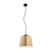 Argon 4690 - Lestenec na vrvici BERKLEY 1xE27/15W/230V