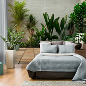 Samoljepljiva foto tapeta - Home Garden 245x175