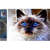 Norimpex - Puzzle Diamond Painting Cat magic 30x40cm - 1 - 39 kosov