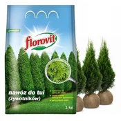 shumee Florovit gnojilo za arborvitae 1 kg granule