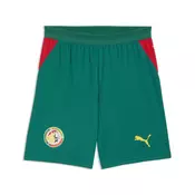 PUMA Senegal 2026 Shorts Men, Performance, Wild Green/Red, M