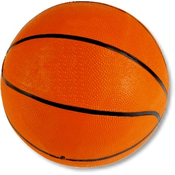 Košarkarska žoga