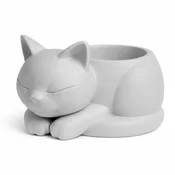 shumee Cvetlični lonček Sleeping Cat, siv, dekorativni pokrov za sukulente in kaktuse