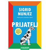 Prijatelj - Sigrid Nunjez