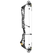 MATHEWS TITLE 38 G2