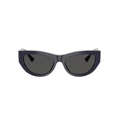 Jimmy Choo Naocare za sunce JC 5034BU 501687