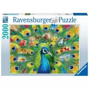 Ravensburger puzzle (slagalice) 2000pcs Land of the Peacock RA16567