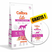 Calibra Dog Life Adult Large Breed Lamb 12 + 5 kg BREZPLAČNO