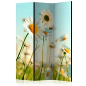 artgeist Paravan Daisies, 3-Delni, Dvostranski