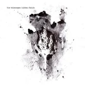 The Telescopes - Hidden Fields (LP + CD)