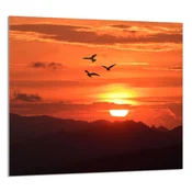 shumee STEKLENA PLOŠČA ZA KUHINJO 65x60 Sun