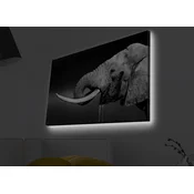 Opviq Slika na platnu sa LED osvetljenjem 45x70cm