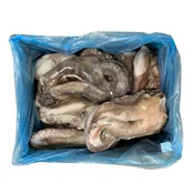 Lovke orjaškega lignja, cele, IQF, 10 kg, zm.