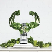 Blender SAGE SBL620SIL4CEU1 the Fresh & Furious