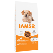 IAMS for Vitality Puppy & Junior Large s piletinom - 2 x 12 kg