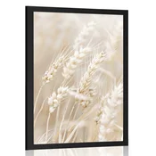 Plakat stebla pšenice - 20x30 white