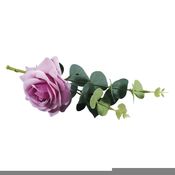 Rayher Vrtnica z evkaliptusom, rožnata, 28cm, (20633986)
