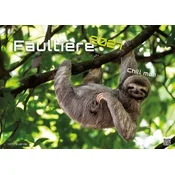 Faultiere - Chill mal! - 2027 - Kalender DIN A2