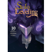SOLO LEVELING V10