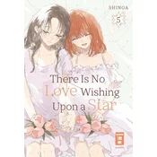 There Is No Love Wishing Upon a Star 05
