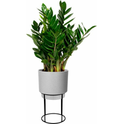 elho b.for studio rund 22cm