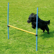 ENO AGILITY FUN & SPORT OVIRA - PASJE IGRAČE - POPOLNI SET ZA OVIRO