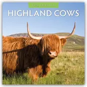 Highland Cows - Hochland Kühe 2026 - 16-Monatskalender