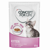 Concept for Life Kitten - v želeju - Varčno pakiranje: 48x85 g