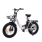 UNIVERCYCLE Električno kolo UNIVERCYCLE B5, baterija 48 V 12,5 Ah, doseg 20 palcev, 80 km, bež, (5000231877)